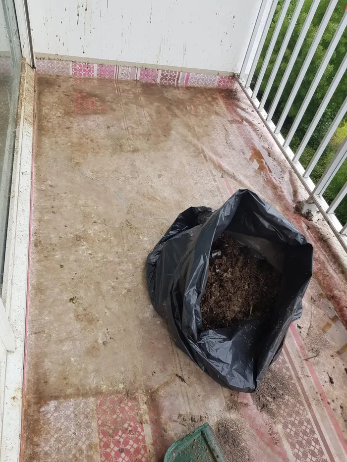 Balcon en cours de dépose, ancien revêtement dégradé et dépôts accumulés.