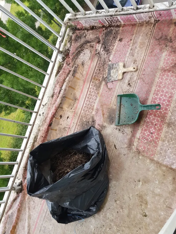Grattage du revêtement à la spatule et évacuation des gravats en sac.
